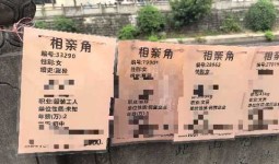 探讨：找对象什么对重要？