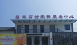 青莲镇某某村拖欠五年路灯工程款，负责人避而不谈