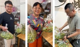助农有'李' —江油市网联会西屏脆李爱心助农公益活动