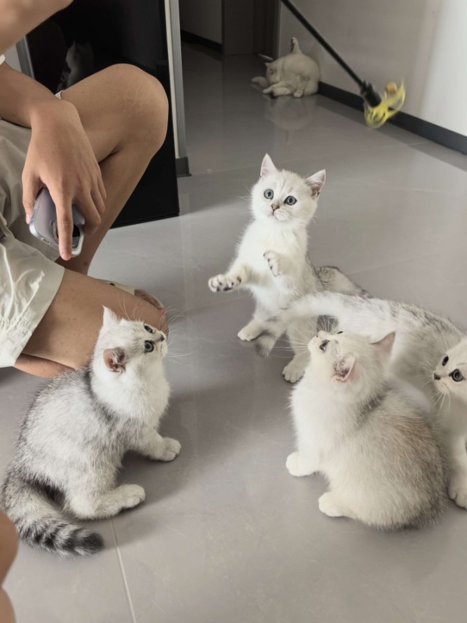 请输入相册名称