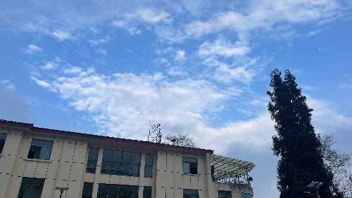 IMG_7364.jpeg